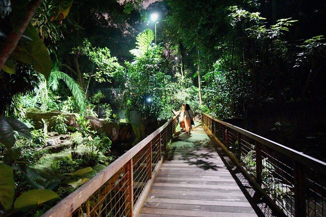 Singapore River & Night Safari-COMBO (Shared Transfer) - River Safari Afternoon: Pandas, Monkey Forest, and Real Habitat Walks
