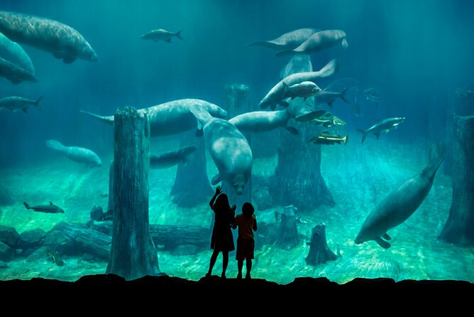 Singapore: River Wonders Entry Ticket - Animal-friendly rules that make your visit smoother