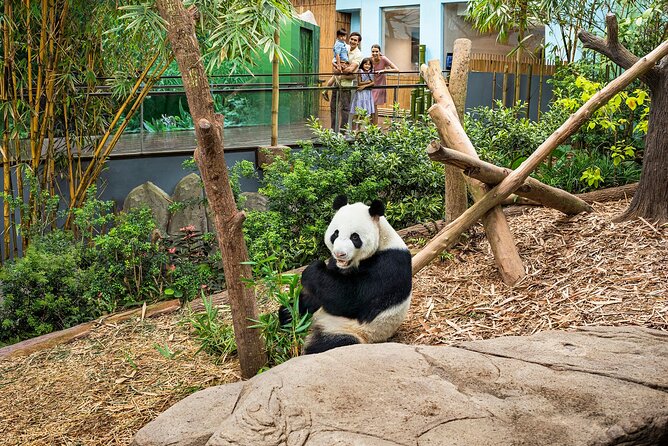 Singapore: River Wonders Entry Ticket - The money question: Is $35 good value?
