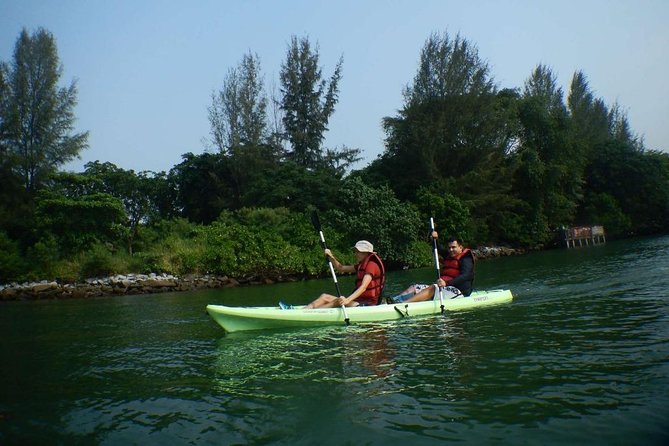 Singapore Round Ketam Kayaking Adventure in Pulau Ubin - The mangrove section: slow paddle time that pays off