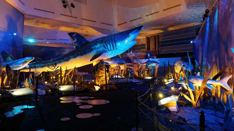Singapore: Science Center E-Ticket - Shows and performances that connect science over time