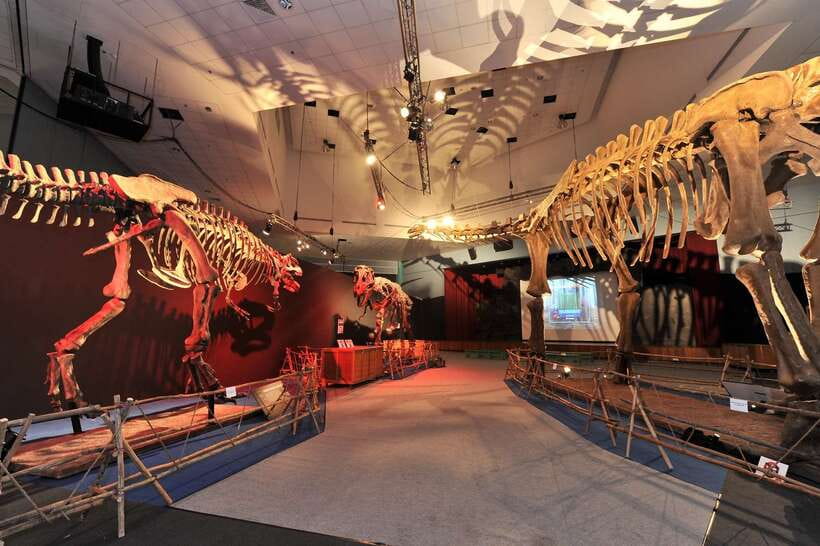 Singapore: Science Center E-Ticket - Timing, opening hours, and the best way to spend your one day