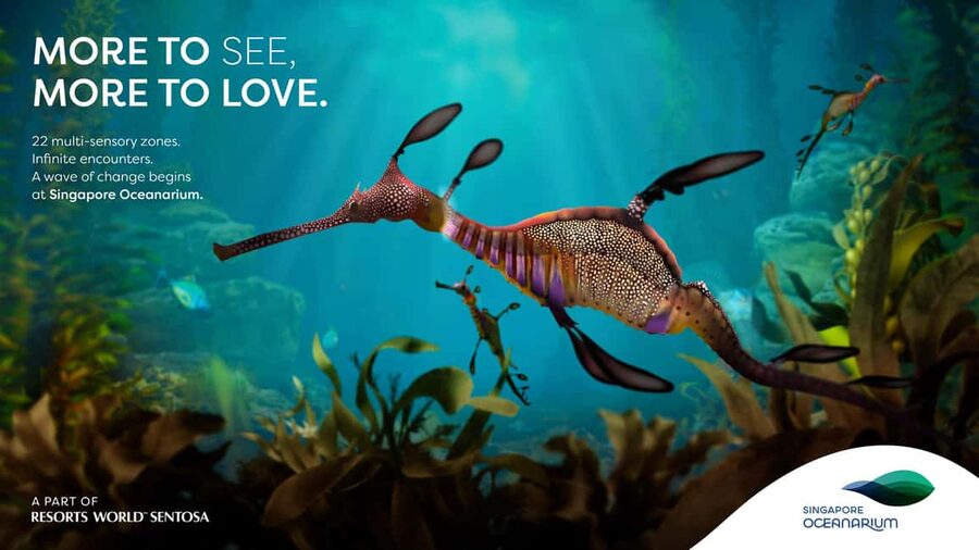 Singapore: Singapore Oceanarium Entrance Ticket - Singapore Oceanarium at Resorts World Sentosa: what your ticket gets you