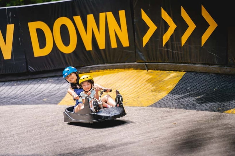 Singapore: Skyline Luge Sentosa Entry Ticket - Choosing your track: Dragon, Jungle, Kupu Kupu, and Expedition
