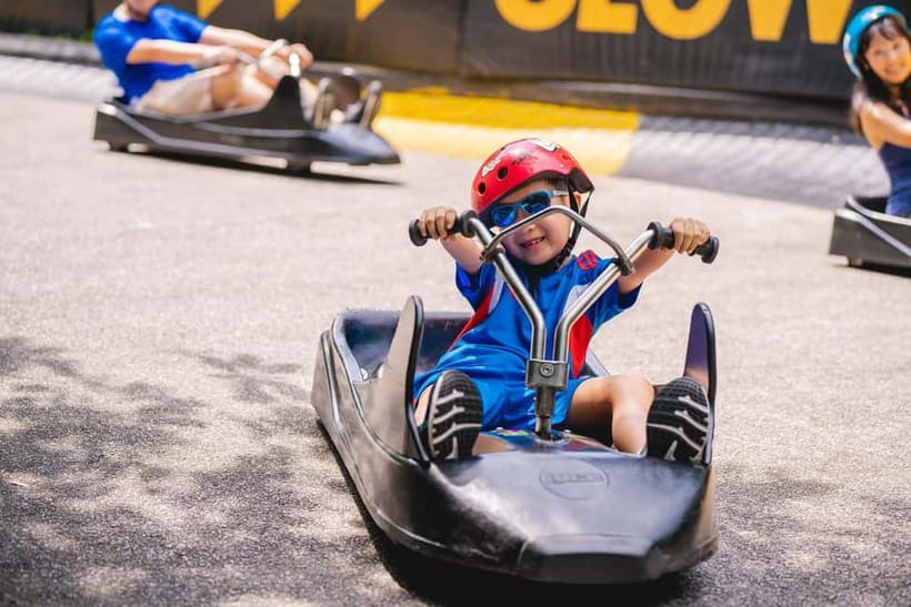 Singapore: Skyline Luge Sentosa Entry Ticket - Practical tips that make the day smoother
