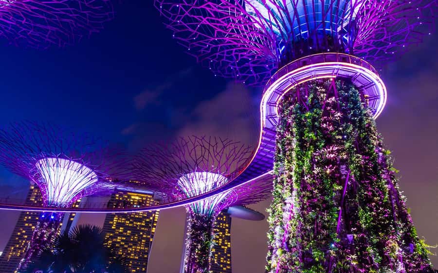Singapore Starry Night: Cruise, Garden Rhapsody & Spectra - Who this tour suits best, and who might want a different plan