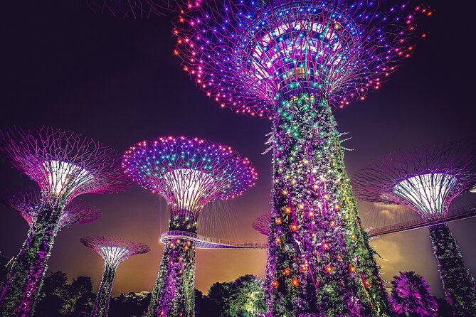 Singapore Starry Night Cruise, Garden Rhapsody & Spectra Show - Price and Value: What You Get for $88