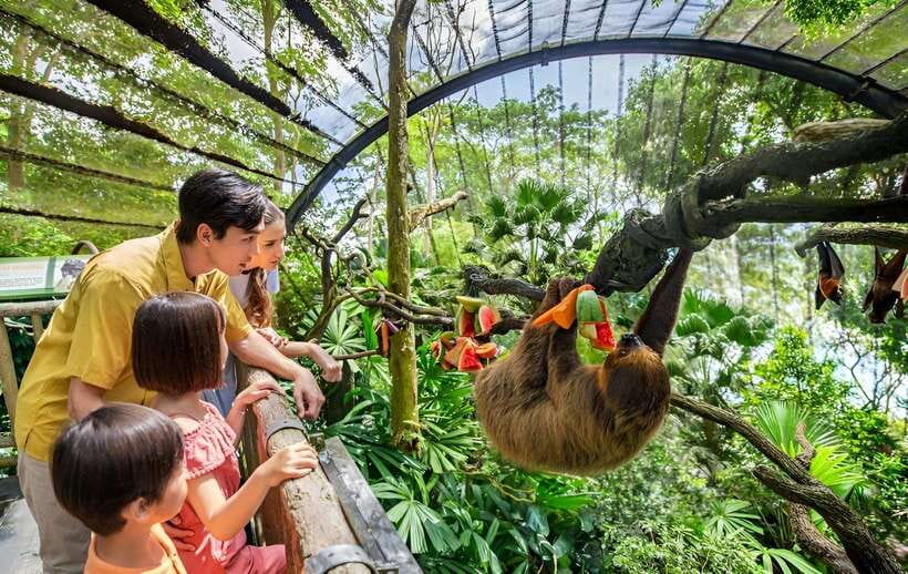Singapore Zoo: 1-Day Entrance E-Ticket - Key things to know before you go