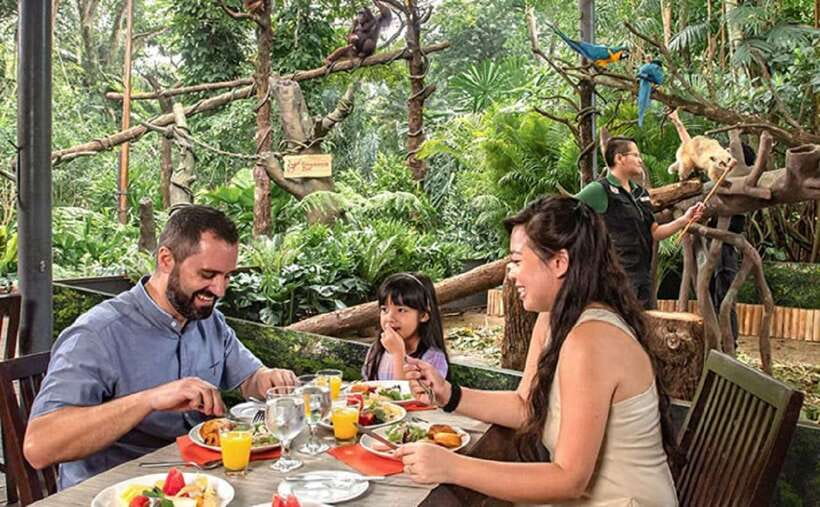 Singapore Zoo: 1-Day Entrance E-Ticket - Should You Book This Singapore Zoo 1-Day E-Ticket?