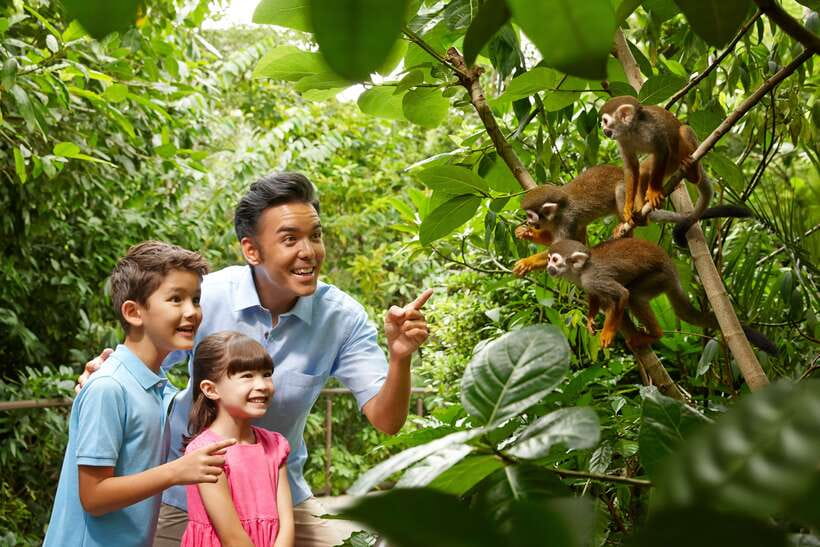 Singapore Zoo: 1-Day Entrance E-Ticket - Tram Ride Included: A Smart Way to Pace the Whole Park