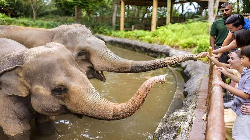 Singapore Zoo: 1-Day Entrance E-Ticket - Signature Animals and Exhibits Worth Building Your Day Around