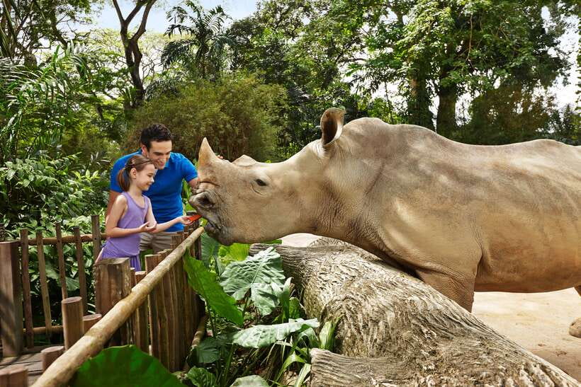 Singapore Zoo: 1-Day Entrance E-Ticket - The Best Views: Elevated Platforms, Underwater Galleries, and Glass
