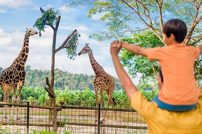 Singapore Zoo - Getting there and timing your day around the 4pm cutoff