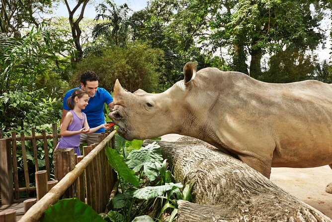 Singapore Zoo - Orangutans, elephants, and tigers: how to build your personal highlight route