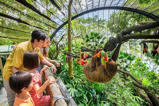 Singapore Zoo Entry Ticket - Key things to know before you buy