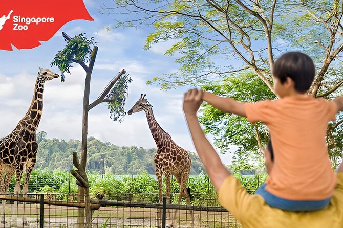 Singapore Zoo Entry Ticket - Getting Your Mobile Entry Ticket Into Singapore Zoo