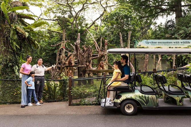 Singapore Zoo Entry Ticket - Walk-Through Biodome: The Kind of View You Can’t Fake