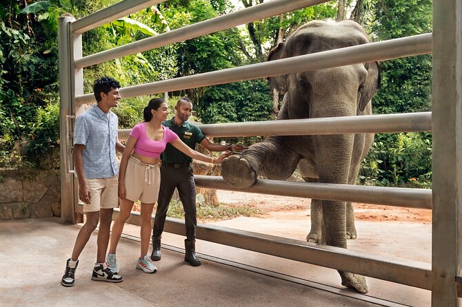 Singapore Zoo Entry Ticket - Animal Feeding Sessions, Keeper Talks, and Show Times