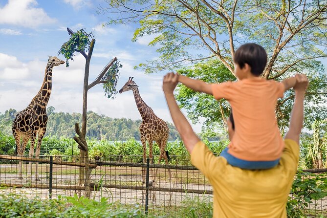 Singapore Zoo Entry Ticket - Singapore Zoo Grounds, Clean Walks, and Close Wildlife Feel