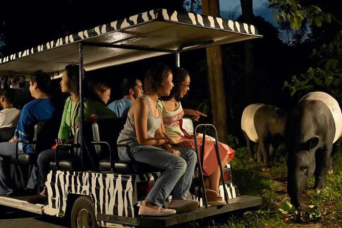 Singapore Zoo & Night Safari Day ( Tickets & Transfer ) - Singapore Zoo: open habitats and viewing that actually changes your perspective