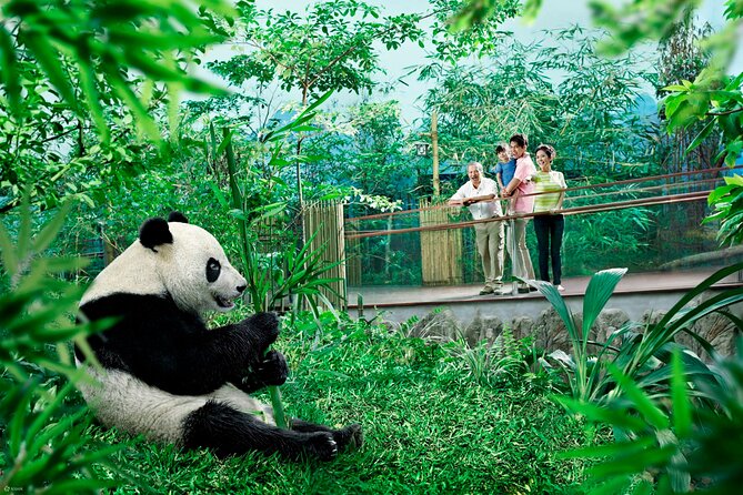 Singapore Zoo & Night Safari Day ( Tickets & Transfer ) - Who this tour suits best, and who might want a different approach