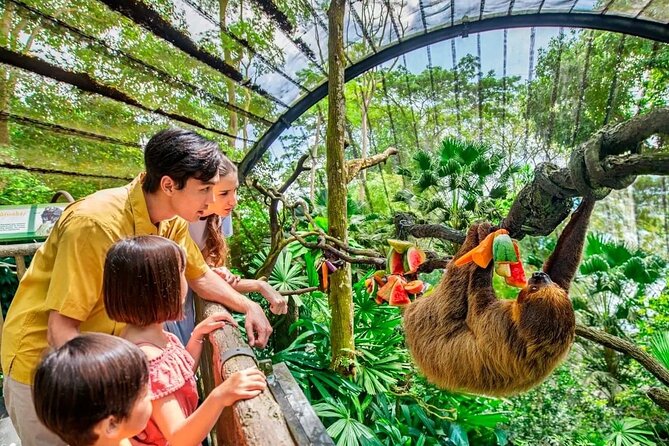Singapore Zoo & Night Safari Day ( Tickets & Transfer ) - Price and ticket value for Zoo plus Night Safari