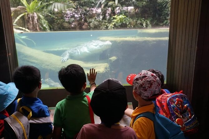 Singapore Zoo with Tram Ride Experience for Tourist - The 4 to 6 hour flow: how to pace your visit