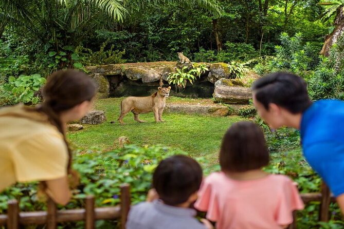 Singapore Zoo with Tram Ride Experience for Tourist - Value for money: is $57 a good deal?