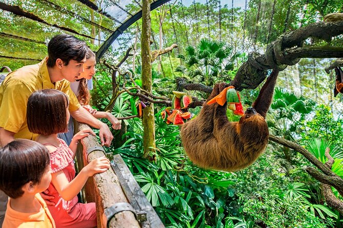Singapore Zoo - Your main stop: Singapore Zoo, what to see inside the park