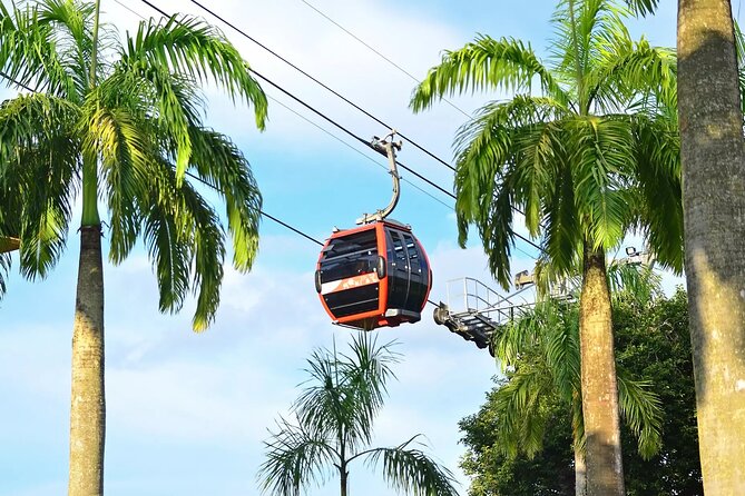 Skip the Line: Singapore Cable Car Sky Pass (Round-Trip) - The Route in Plain English: Mount Faber Line and Sentosa Line