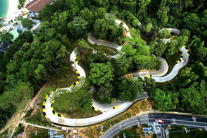 Skyline Luge and Sky Ride Singapore - Picking Your Tracks: Jungle, Dragon, and the Two Other Runs