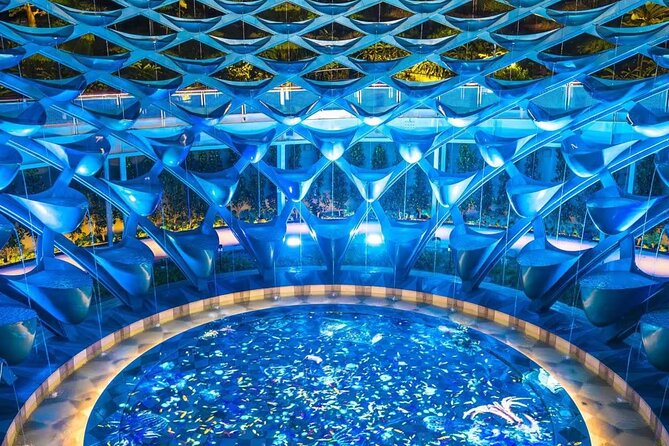 (Small Group) Starry Night Singapore Sentosa Tour - Sentosa SensoryScape: light-and-art energy to close the loop