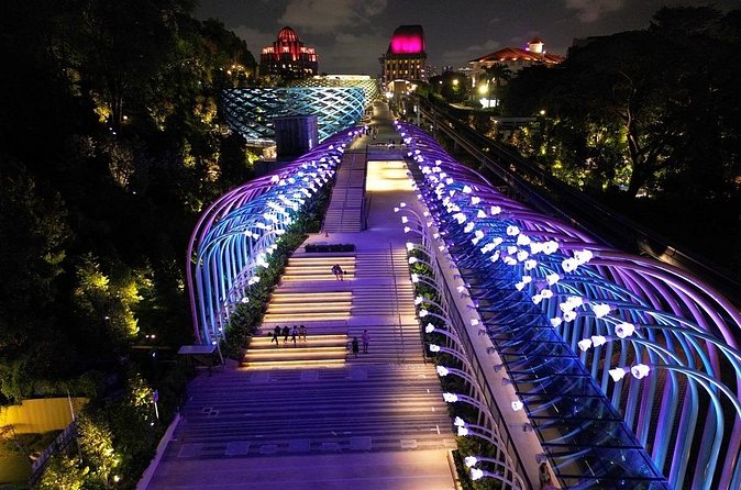 (Small Group) Starry Night Singapore Sentosa Tour - The small-group setup and why it matters in Sentosa traffic