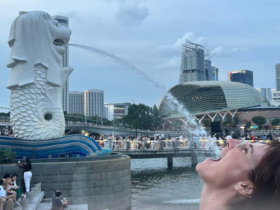 Spectra & Garden Rhapsody Shows with Singapore River Cruise - Key Highlights You’ll Actually Feel