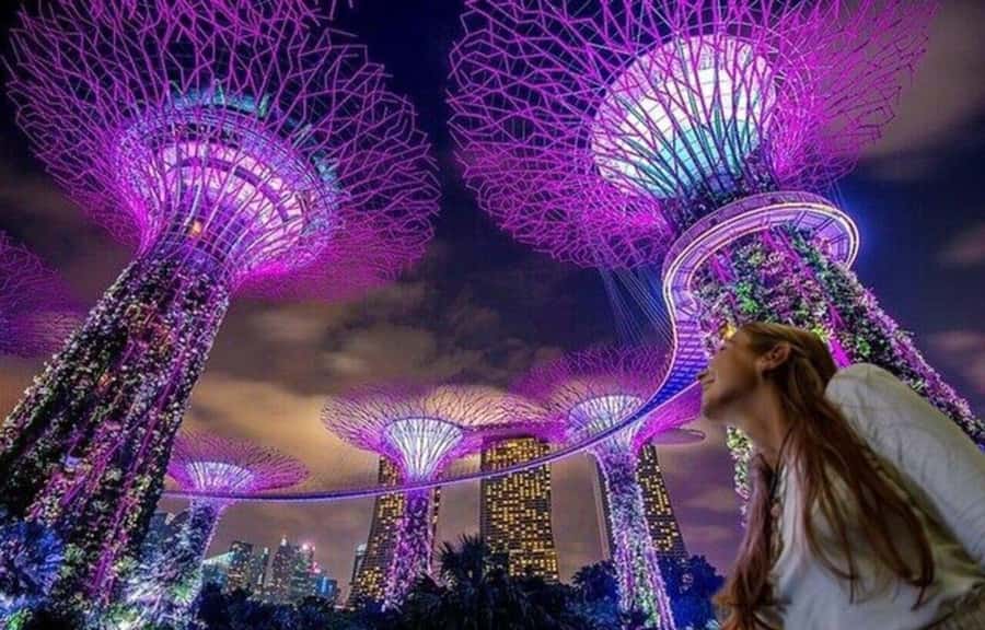 Spectra & Garden Rhapsody Shows with Singapore River Cruise - The 35-Minute Singapore River Cruise Past Marina Bay and Merlion