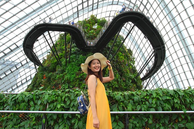 Vacation Photographer in Singapore - Supertree Grove: Where Your Final Photos Actually Look Edited